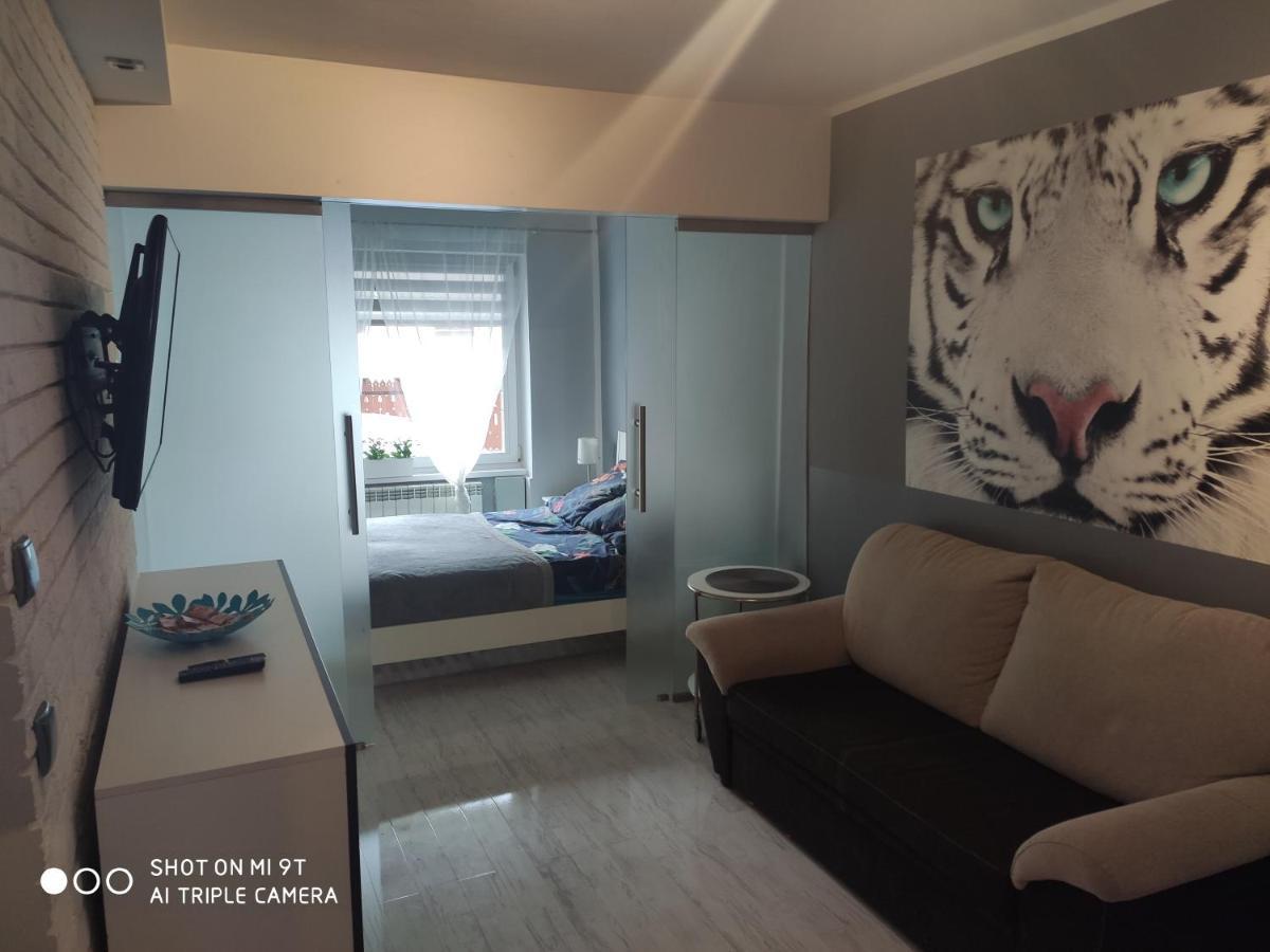Apartament Tygrys ซาโกปาเน ภายนอก รูปภาพ