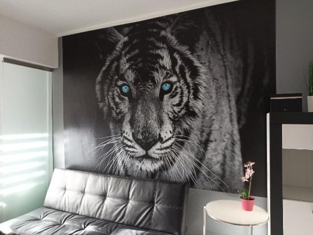 Apartament Tygrys ซาโกปาเน ภายนอก รูปภาพ
